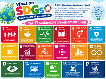 What are SDGs